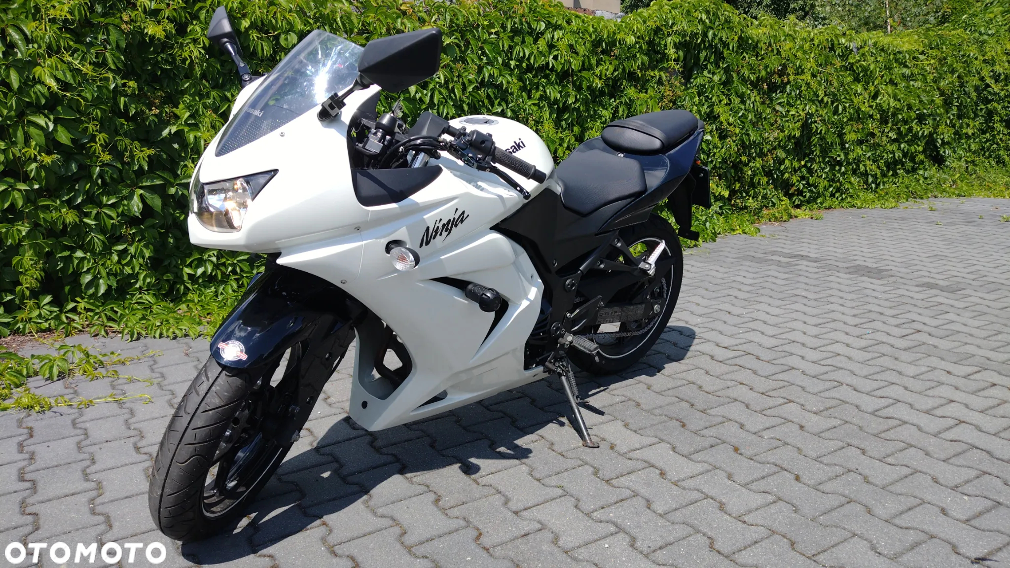 Kawasaki Ninja 250R - 2