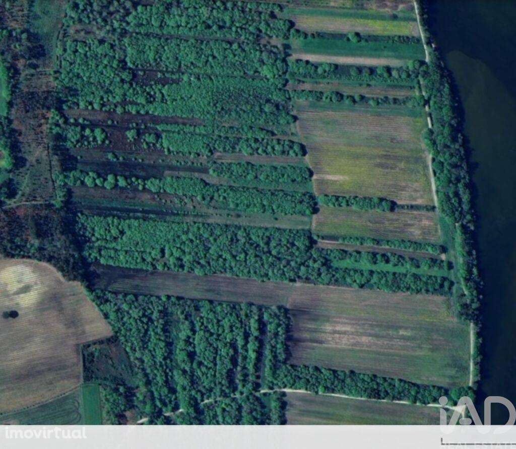 Terreno em Geraz Do Lima (Santa Maria, Santa Leocádia E Moreira) E Deã - Grande imagem: 3/4