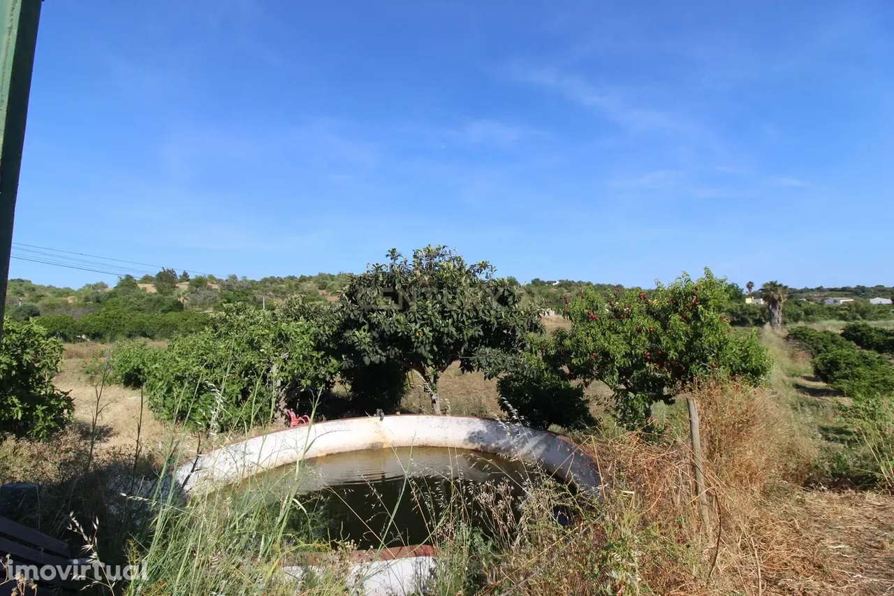 Terreno rustico no Sítio do Almargem - Tavira - Grande imagem: 4/19
