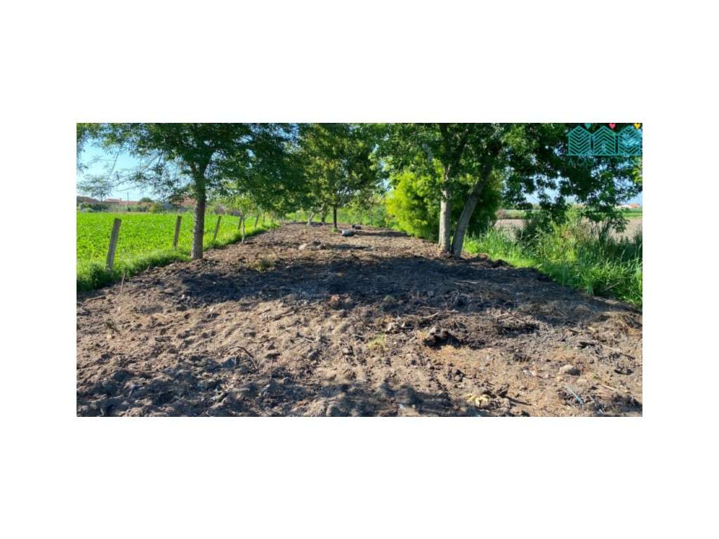 Terreno Com Projeto Aprovado no Bunheiro - Grande imagem: 3/12