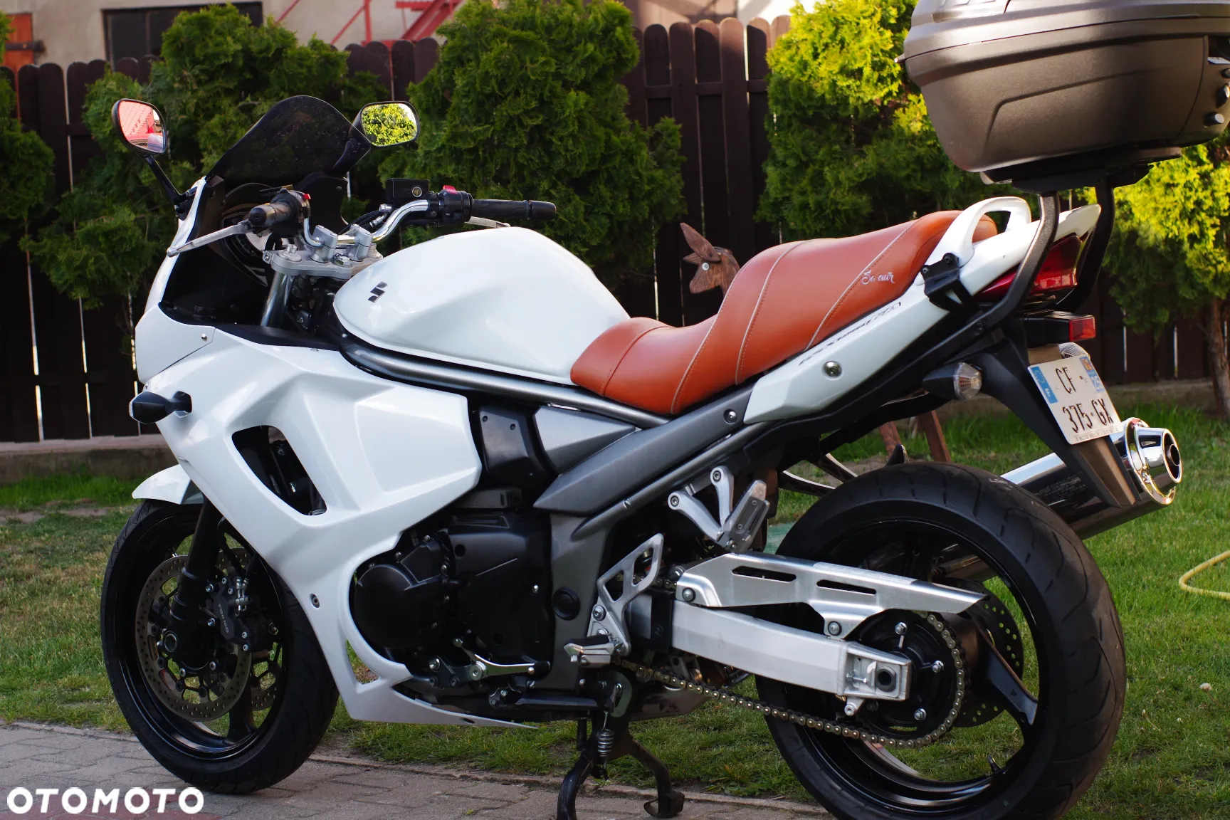 Suzuki GSX - 19