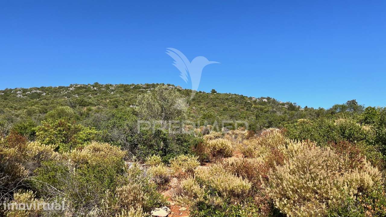 Terreno Rústico com 2520m² no Coração de Moncarapacho, Olhão, Algarve. - Grande imagem: 5/6