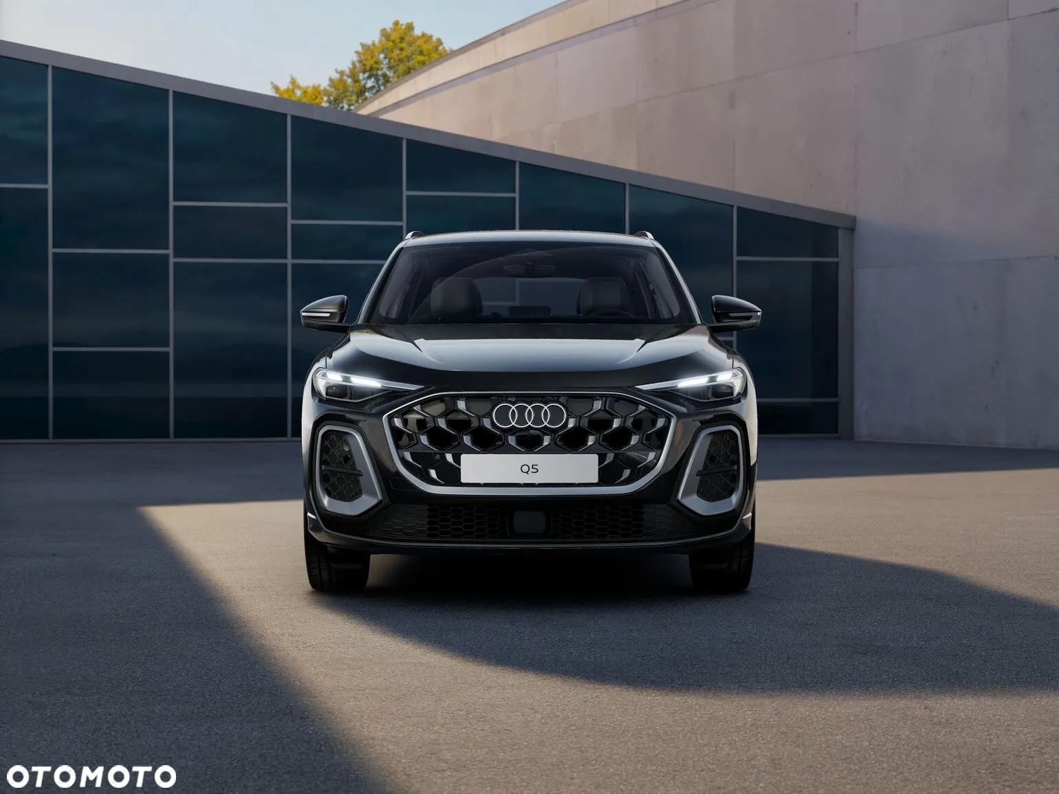 Audi Q5 - 4