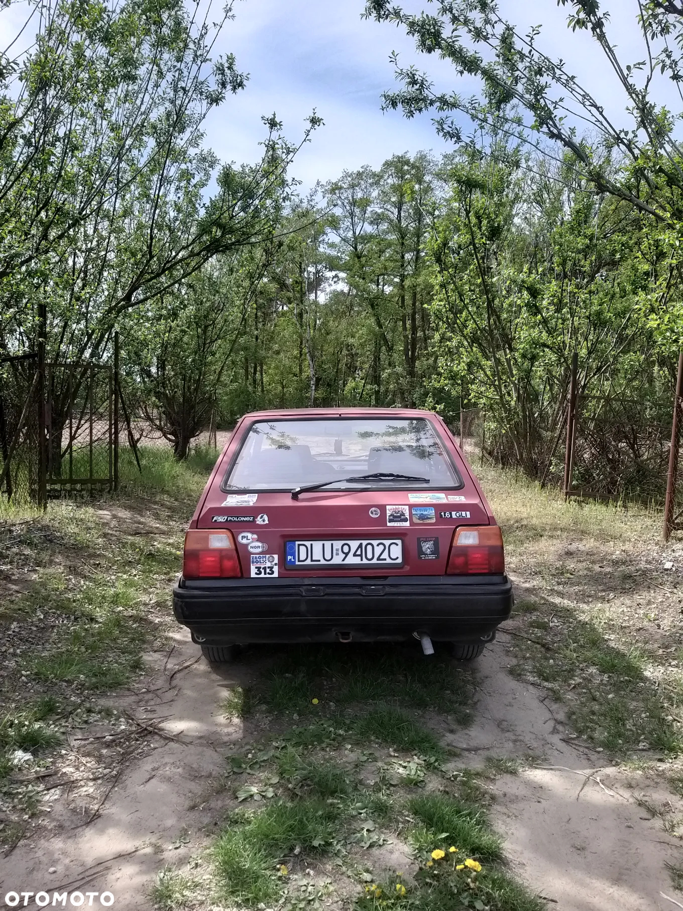 Polonez Caro - 6