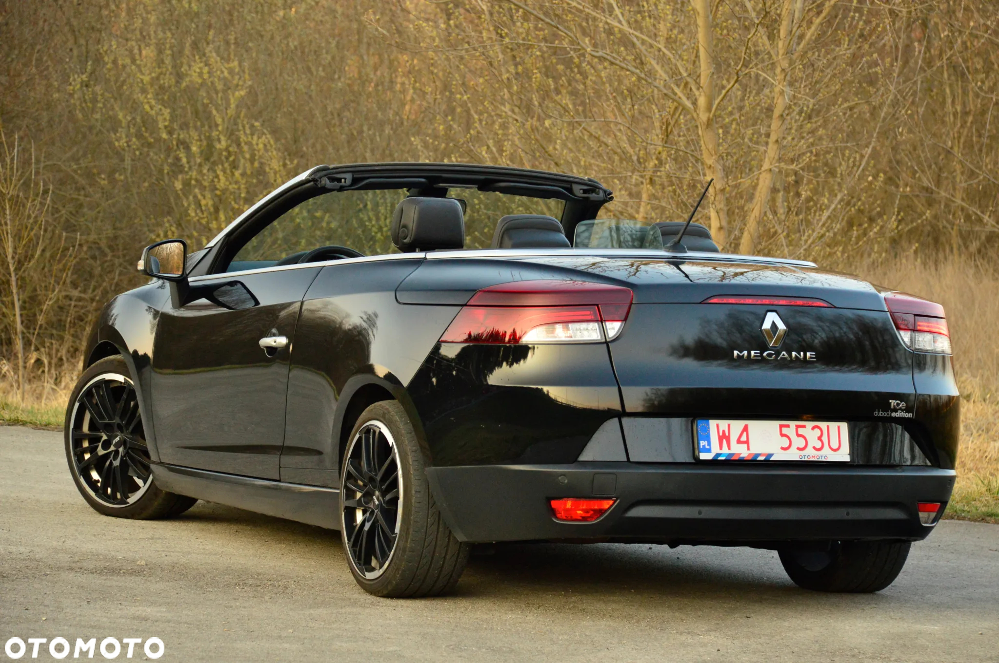Renault Megane 1.3 TCe FAP Limited - 10