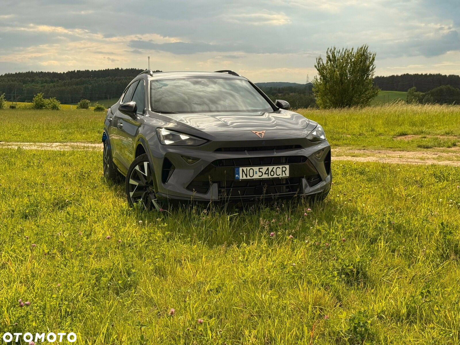 Cupra Formentor - 3