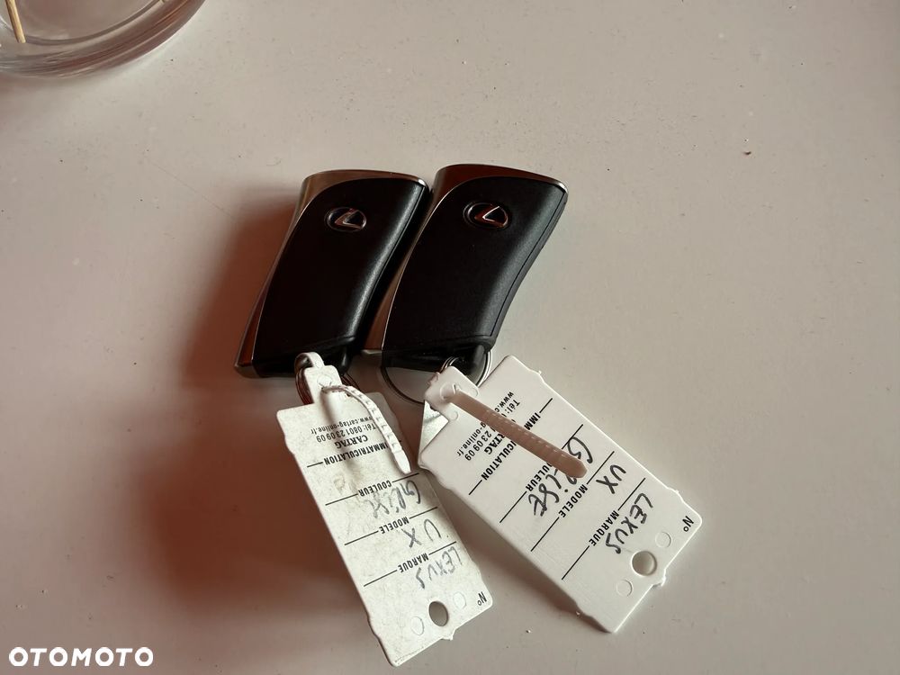 Lexus UX 250h GPF Prestige AWD - 24