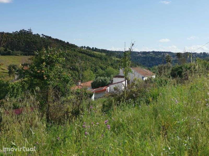 Terreno Pedra Amassada Santo Isidoro Mafra - Grande imagem: 4/8