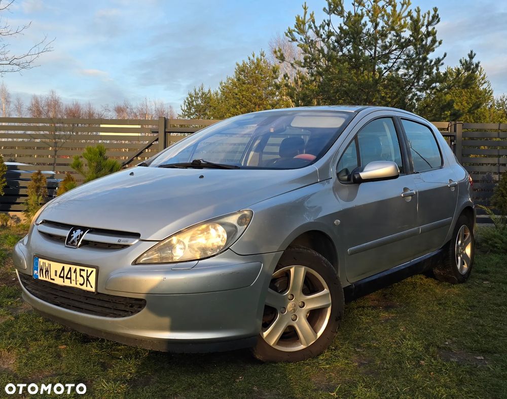 Peugeot 307 135 Sport - 1