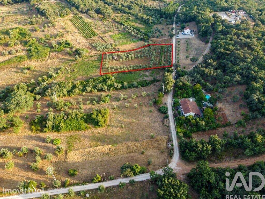 Terreno em Areias e Pias de 4160,00 m2 - Grande imagem: 4/30