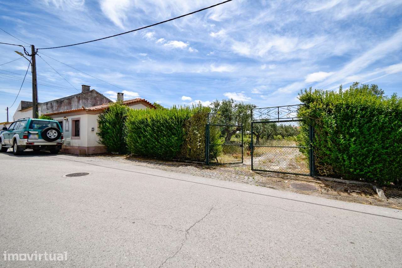Moradia T4 com Piscina e Terreno Próxima de Constância - Grande imagem: 3/56