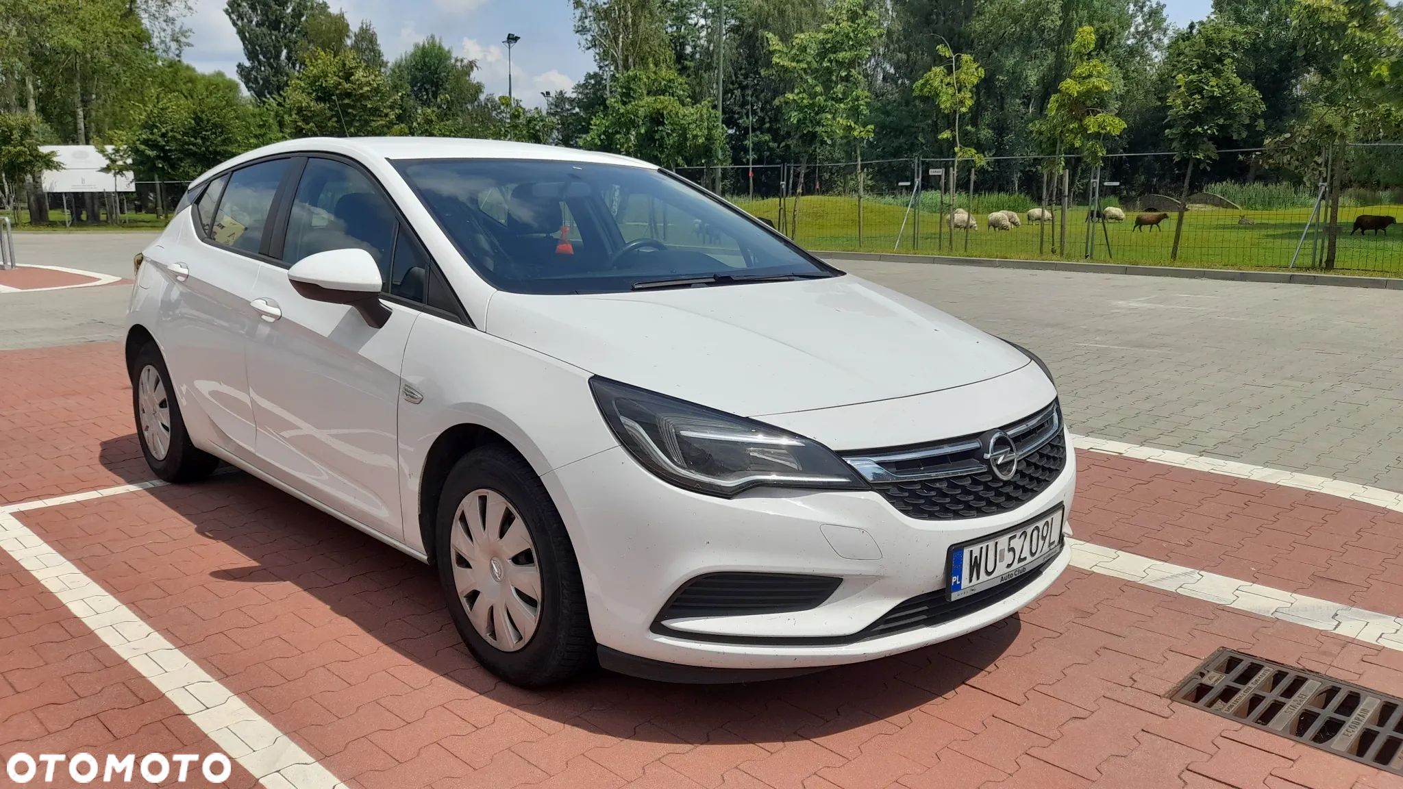 Opel Astra V 1.4 T Dynamic - 1