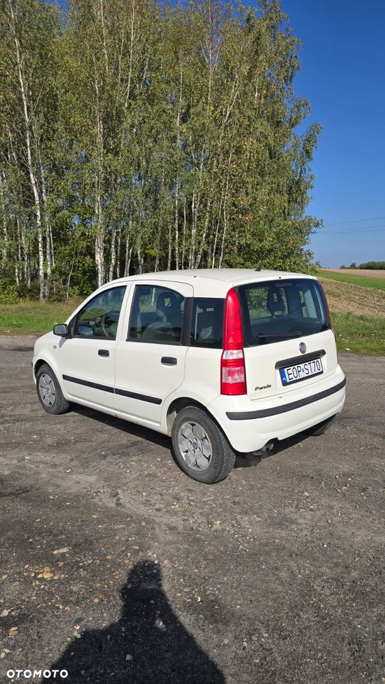 Fiat Panda - 3