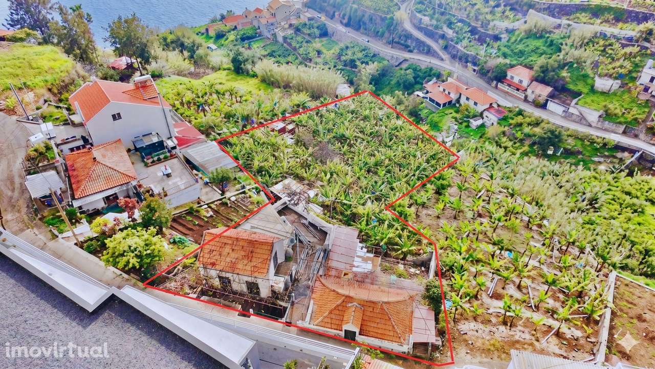 Terreno Amplo com Moradia Tradicional e Palheiro - Ponta do Sol - Grande imagem: 2/19