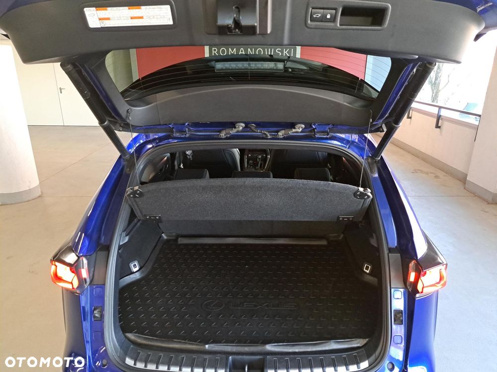 Lexus NX 300 F Sport AWD - 10