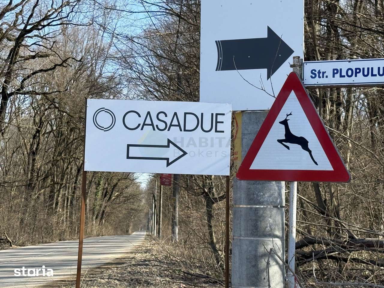 Ciolpani Padurea Snagov - zona Orangerie, Mega Image, Penny - Imagine principală: 5/8