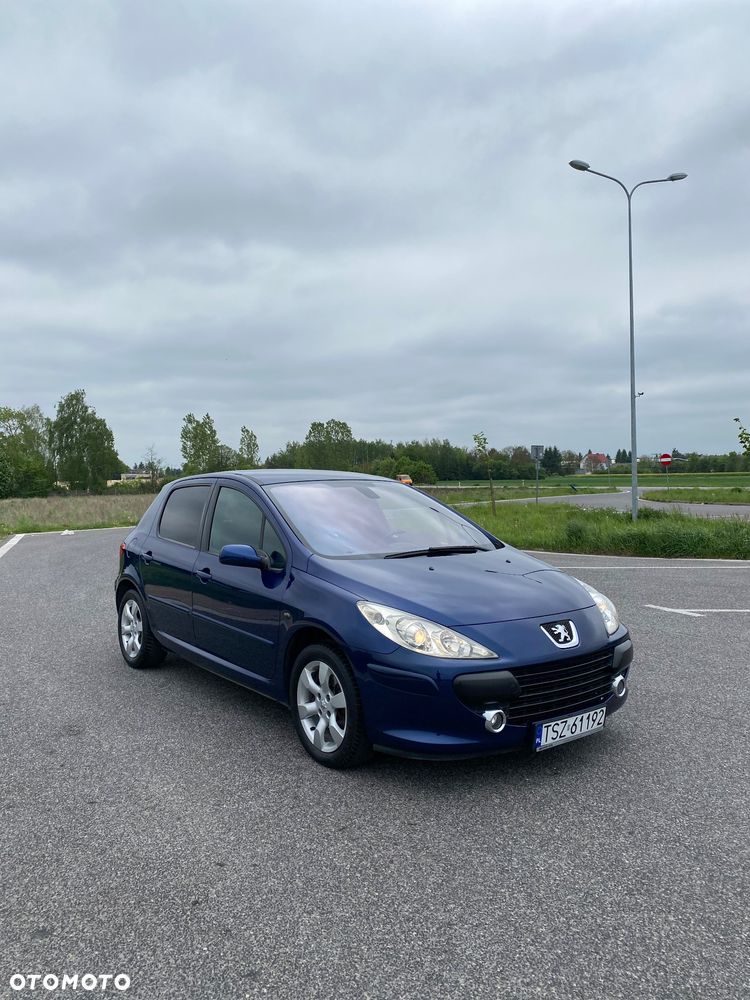 Peugeot 307 2.0 - 11