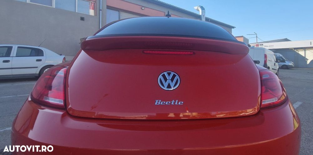 Volkswagen Beetle - 12