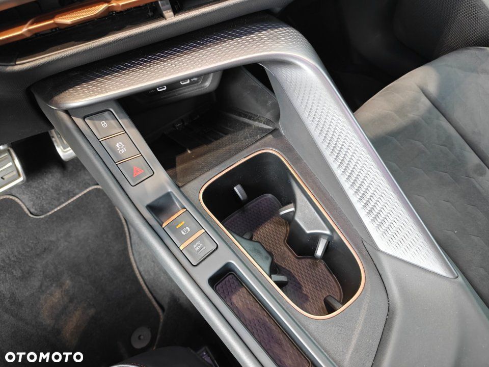 Cupra Terramar - 25