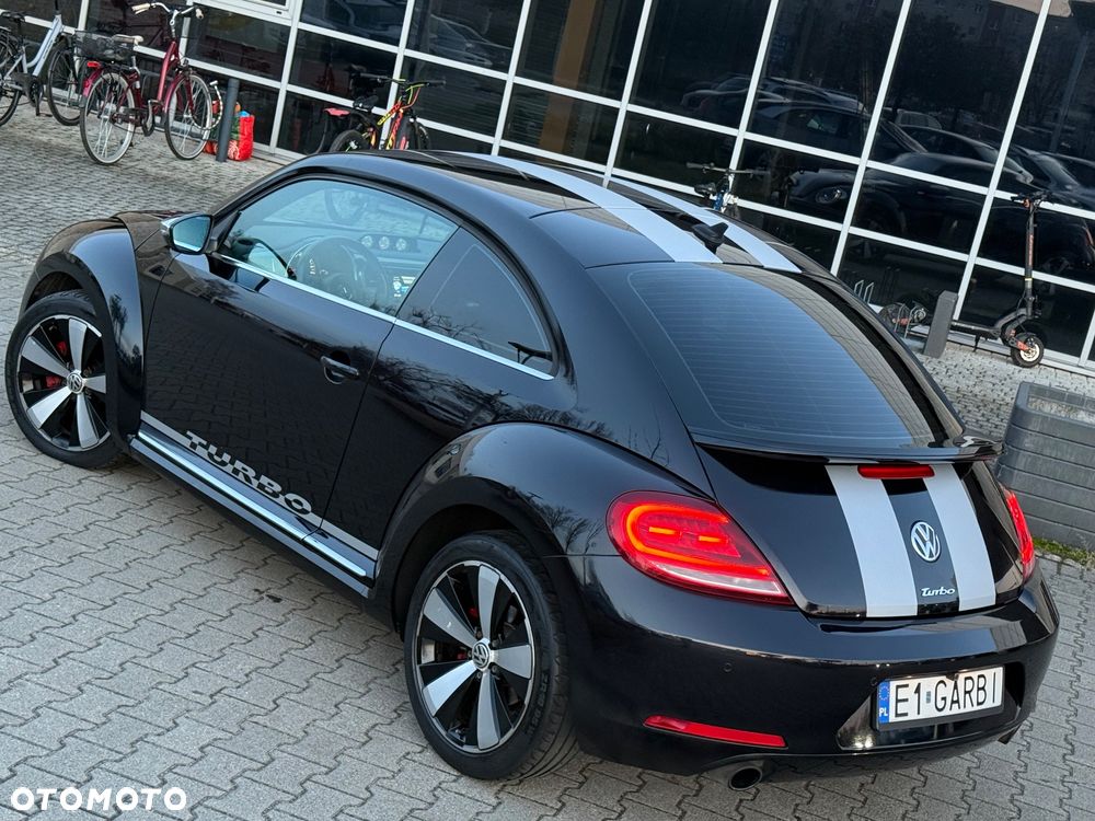 Volkswagen Beetle - 18