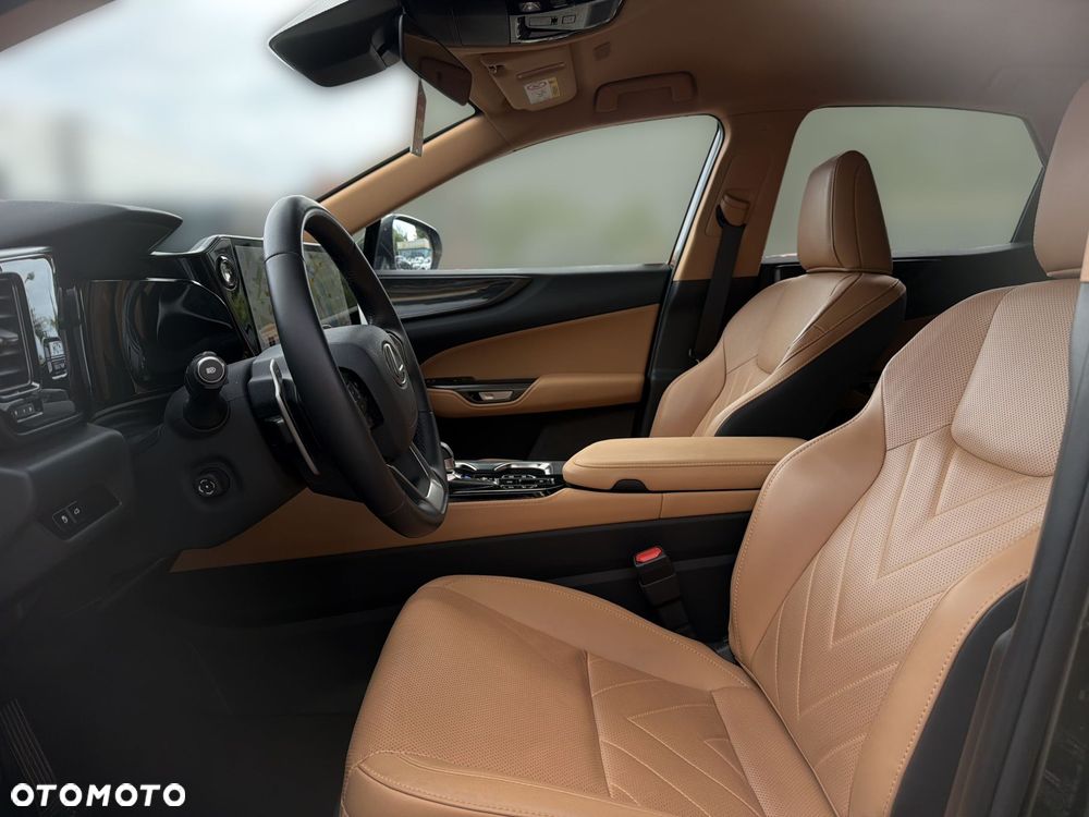 Lexus NX - 15