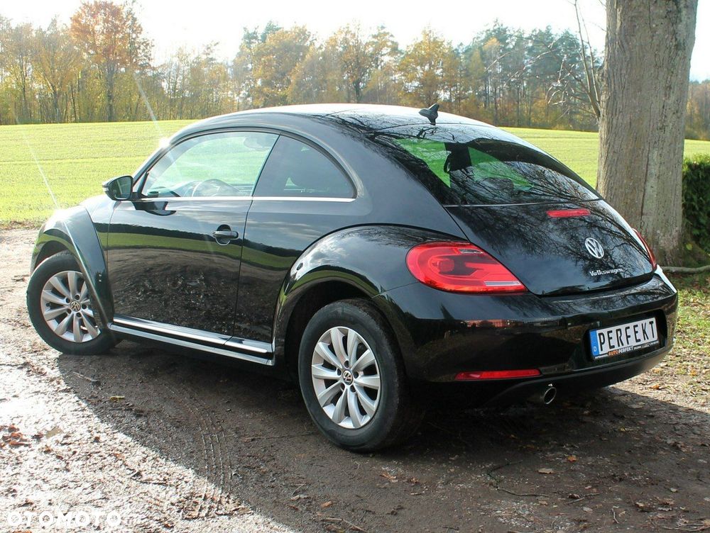 Volkswagen Beetle - 14