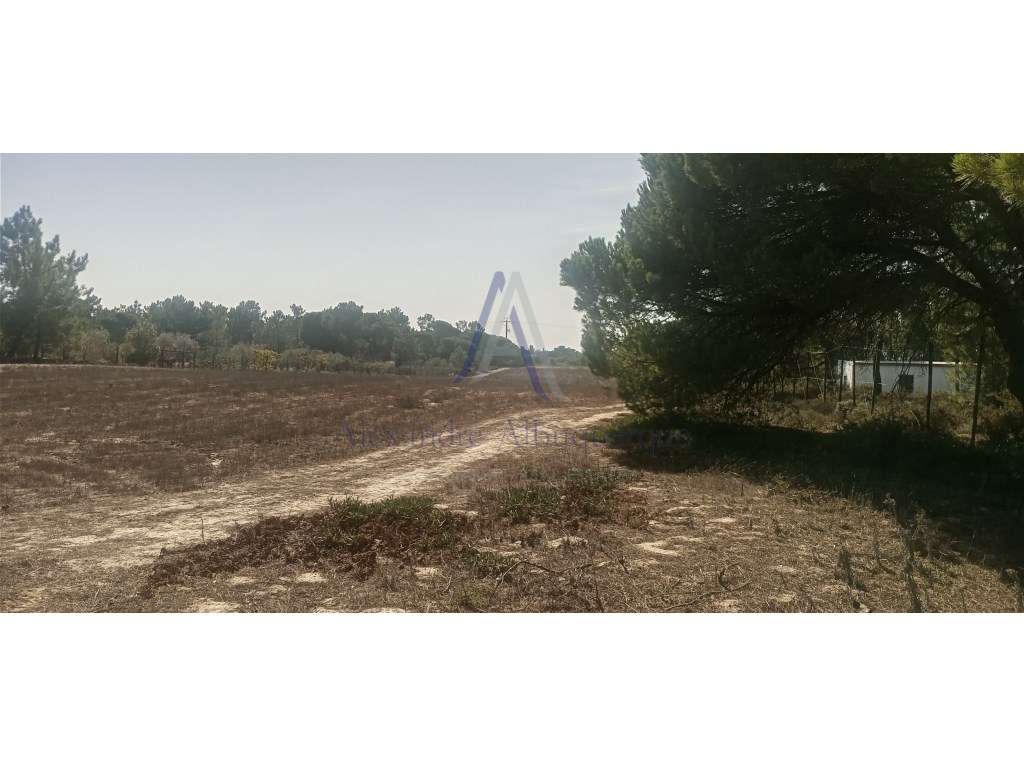 Terreno Rústico com 7166m2 - Grande imagem: 5/6