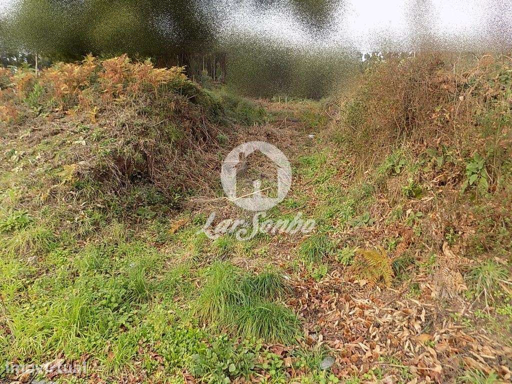 Lote de terreno p/construção de moradia individual c/372m2- Grimanc... - Grande imagem: 3/3