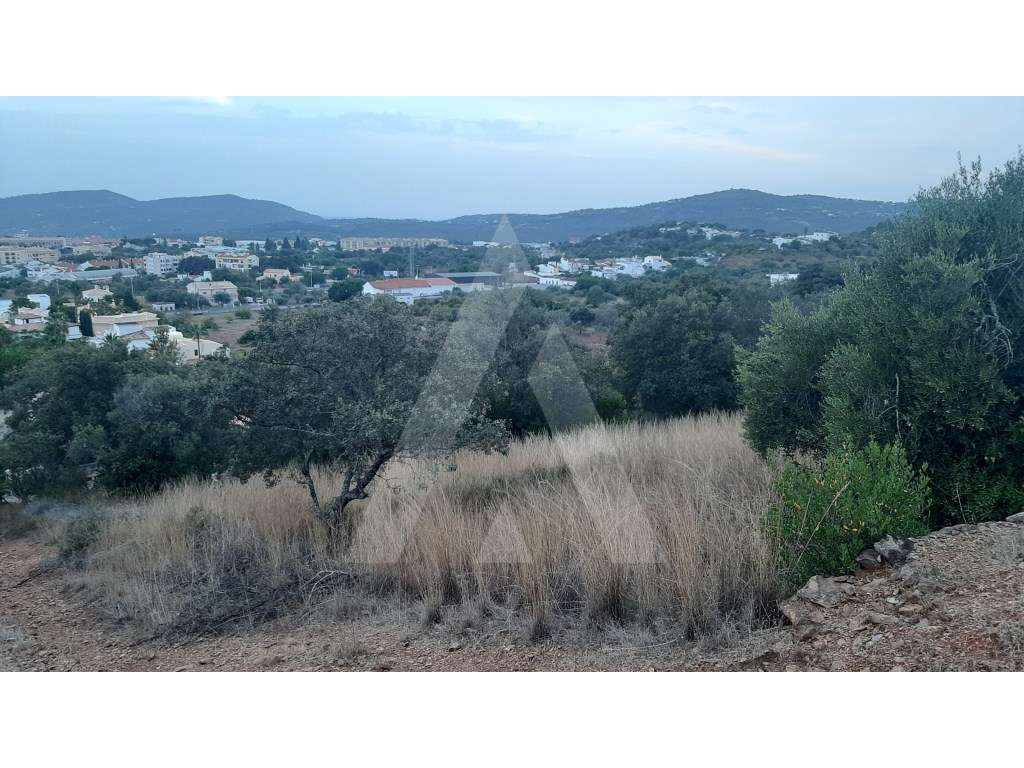 Lote de terreno com ruína e vista panorâmica, em São Brás de Alportel. - Grande imagem: 2/9