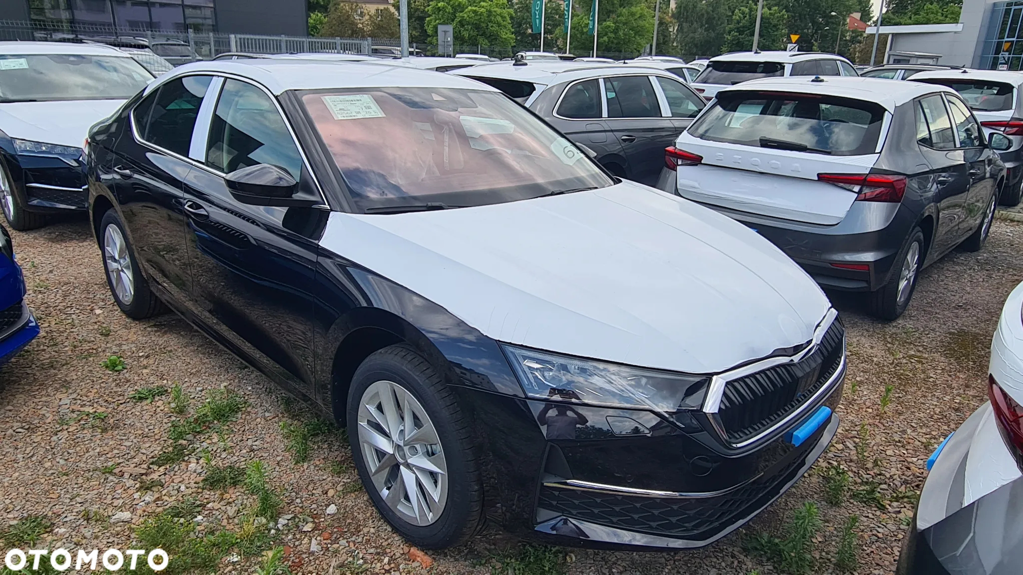 Skoda Octavia 1.5 TSI Edition 130 Selection - 2