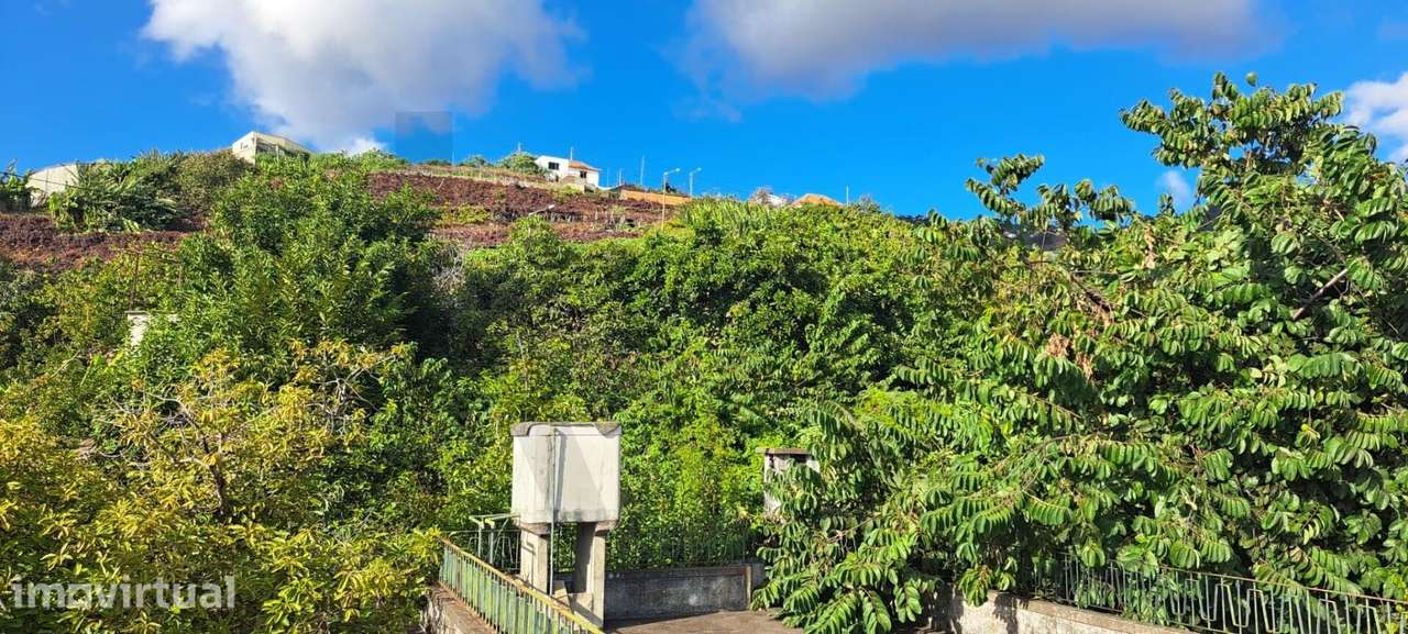 Terreno 9825m2 em Câmara de Lobos - Grande imagem: 3/24