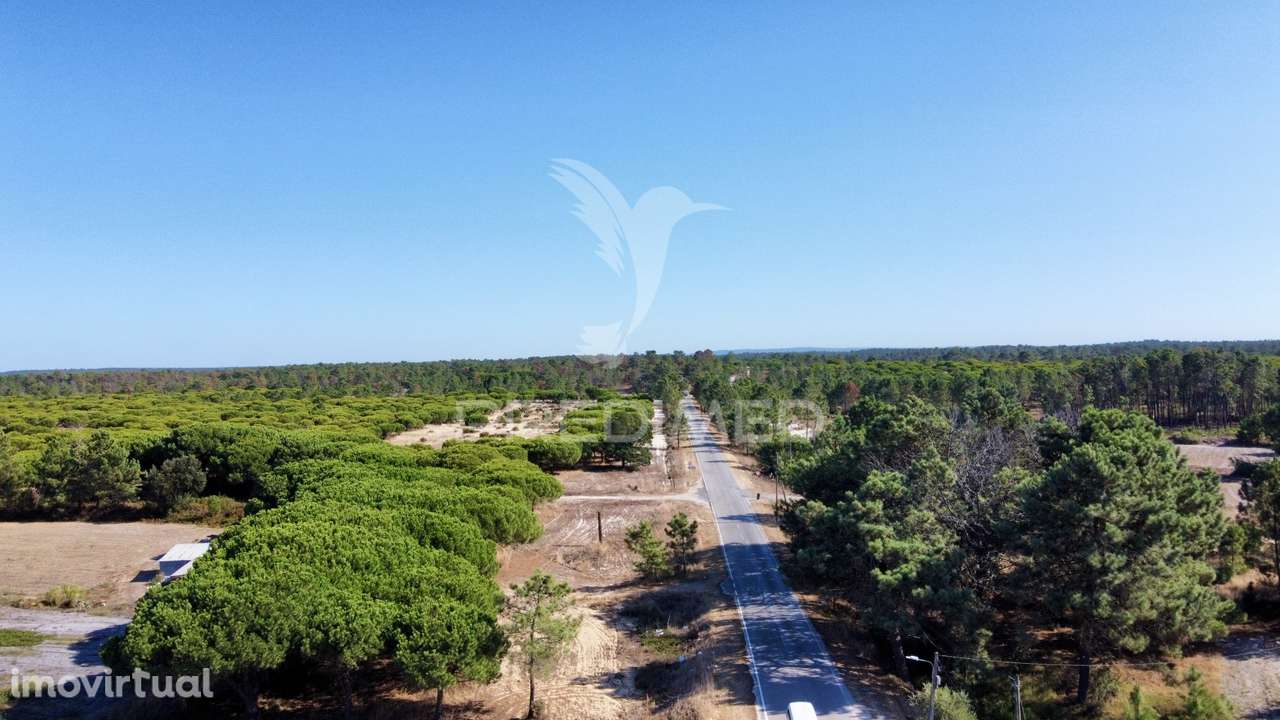 Terreno Urbano 431 m² – Carrasqueira, Comporta - Grande imagem: 5/10