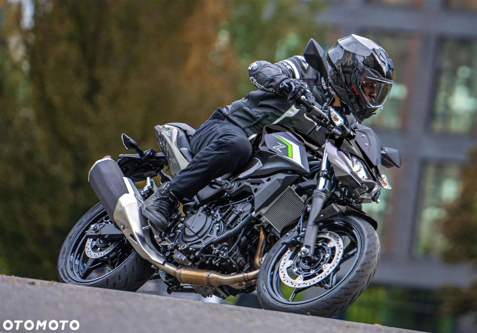 Kawasaki Z - 6