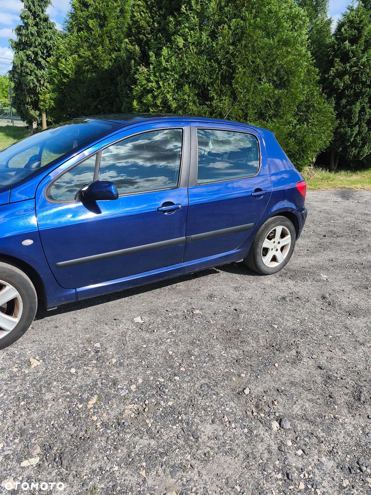 Peugeot 307 2.0 HDi XS - 11