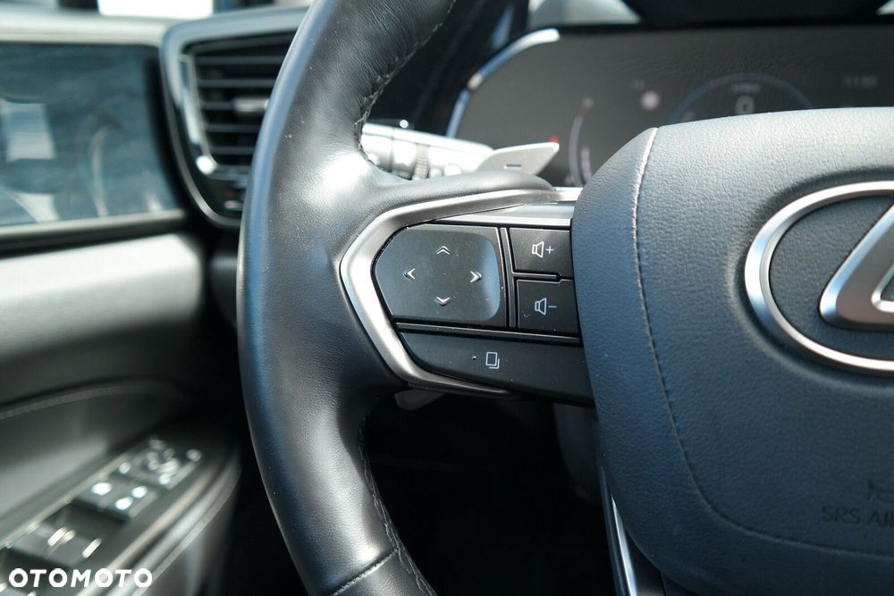 Lexus NX - 18