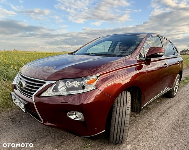 Lexus RX - 25