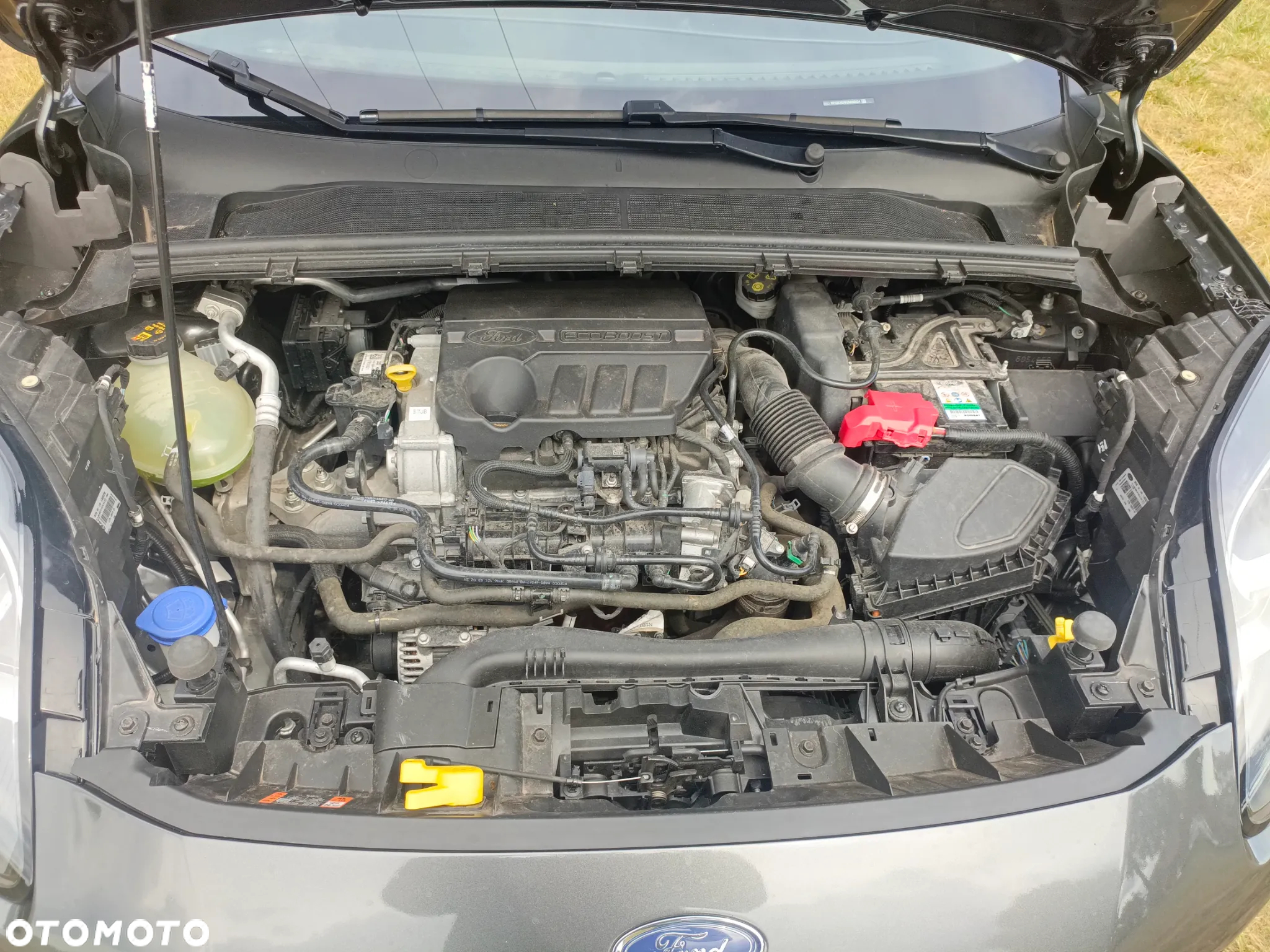 Ford Puma 1.0 EcoBoost Hybrid COOL & CONNECT - 19