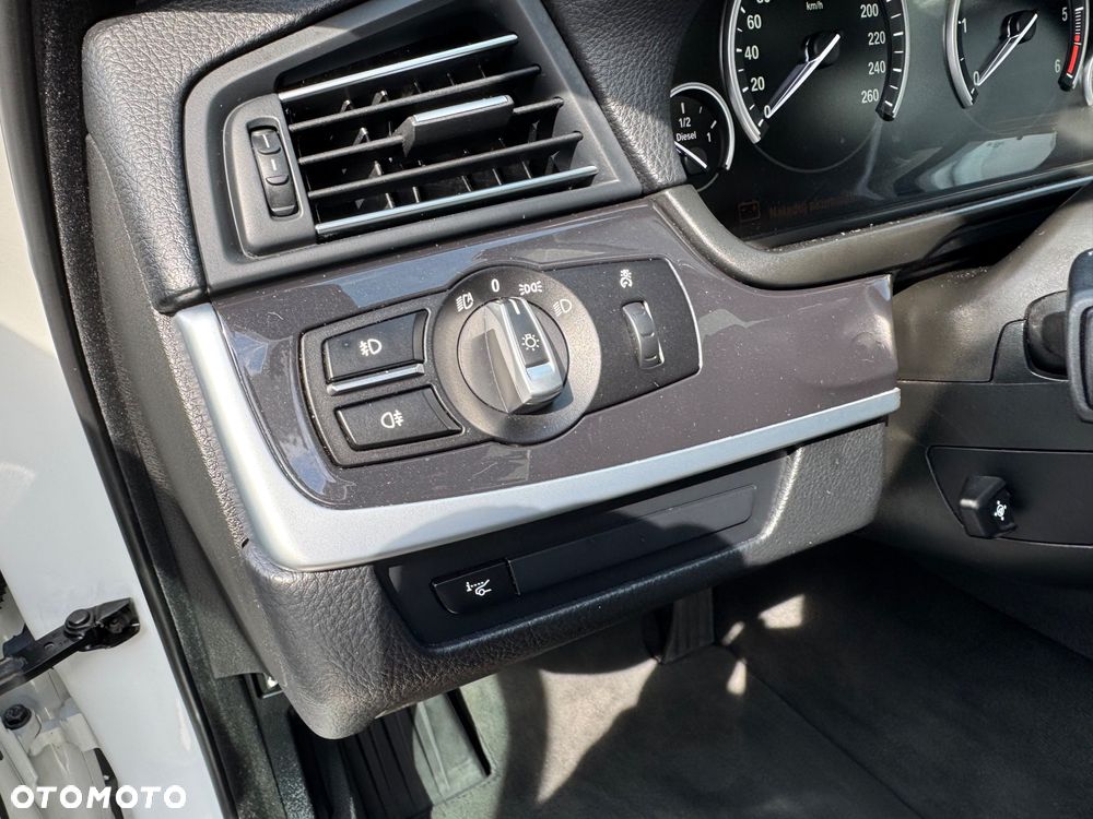 BMW Seria 5 520d Blue Performance - 22