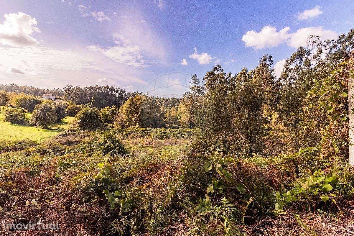 Terreno  para venda - Grande imagem: 5/32