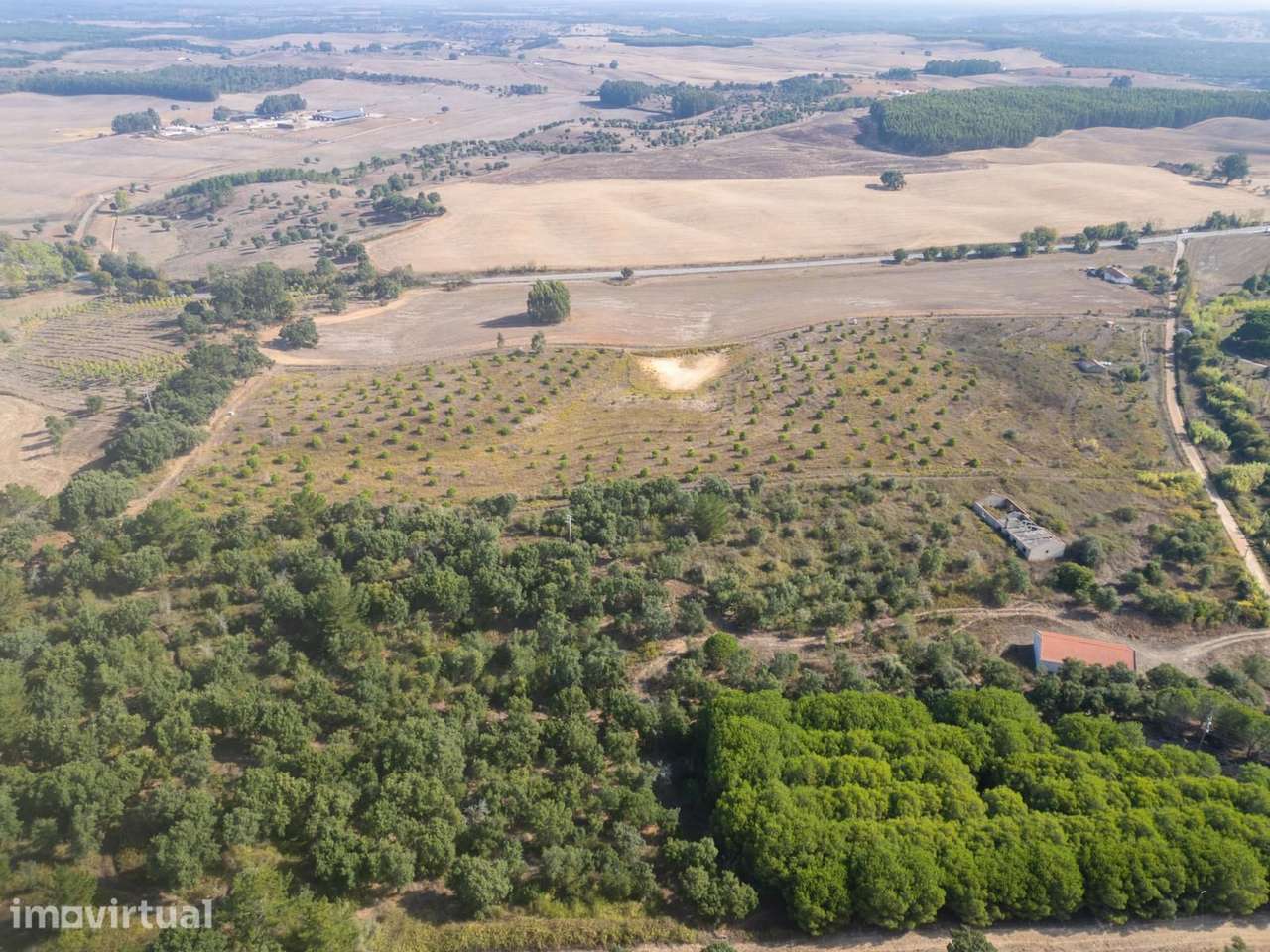 Terreno Misto 5.2 ha, Cercal do Alentejo, Santiago do Cacem - Grande imagem: 4/60