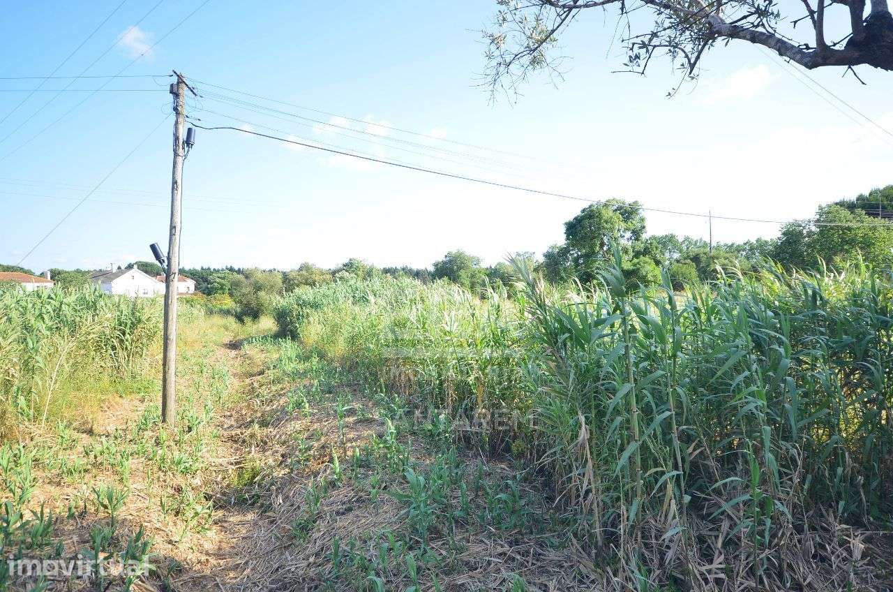 Terreno com 11.400 m2 - Grande imagem: 4/7