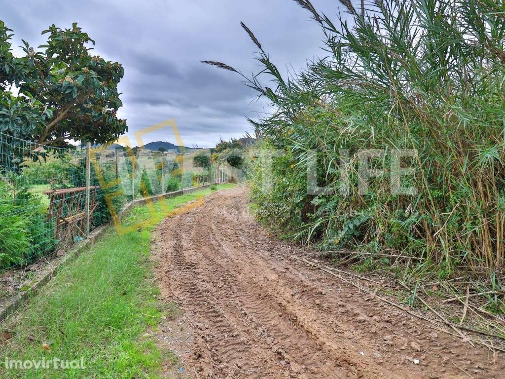 Terreno em Mafra - Terreno Agrícola de 7062m2 com Poço - Grande imagem: 5/19
