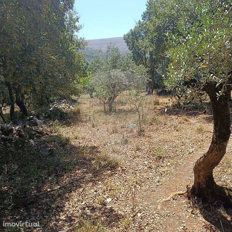 Terreno  para venda - Grande imagem: 2/15