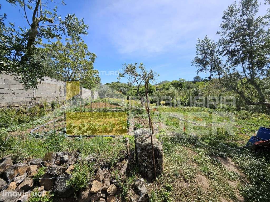 Terreno Rústico com 1.000 m2 na Malveira-Mafra. - Grande imagem: 2/19