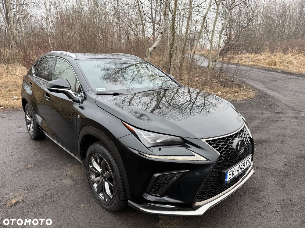Lexus NX 2019
