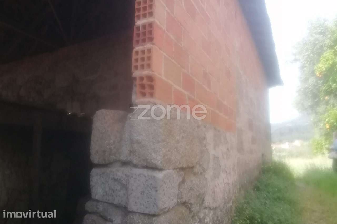 Terreno Rústico e Casas com vista para a Serra do Caramulo - Grande imagem: 3/18