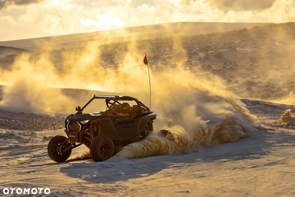 Polaris RZR - 10