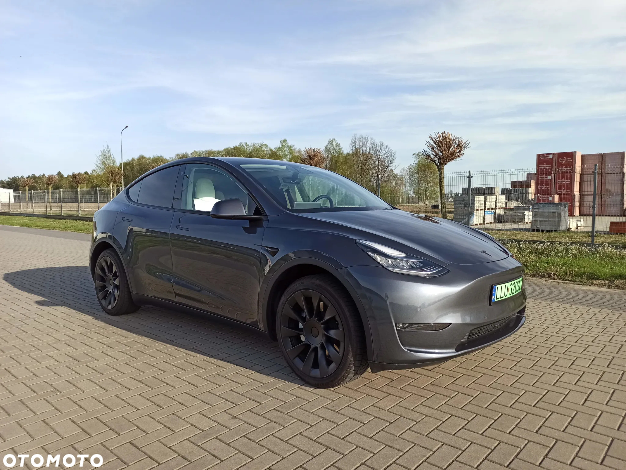 Tesla Y Model RWD - 6