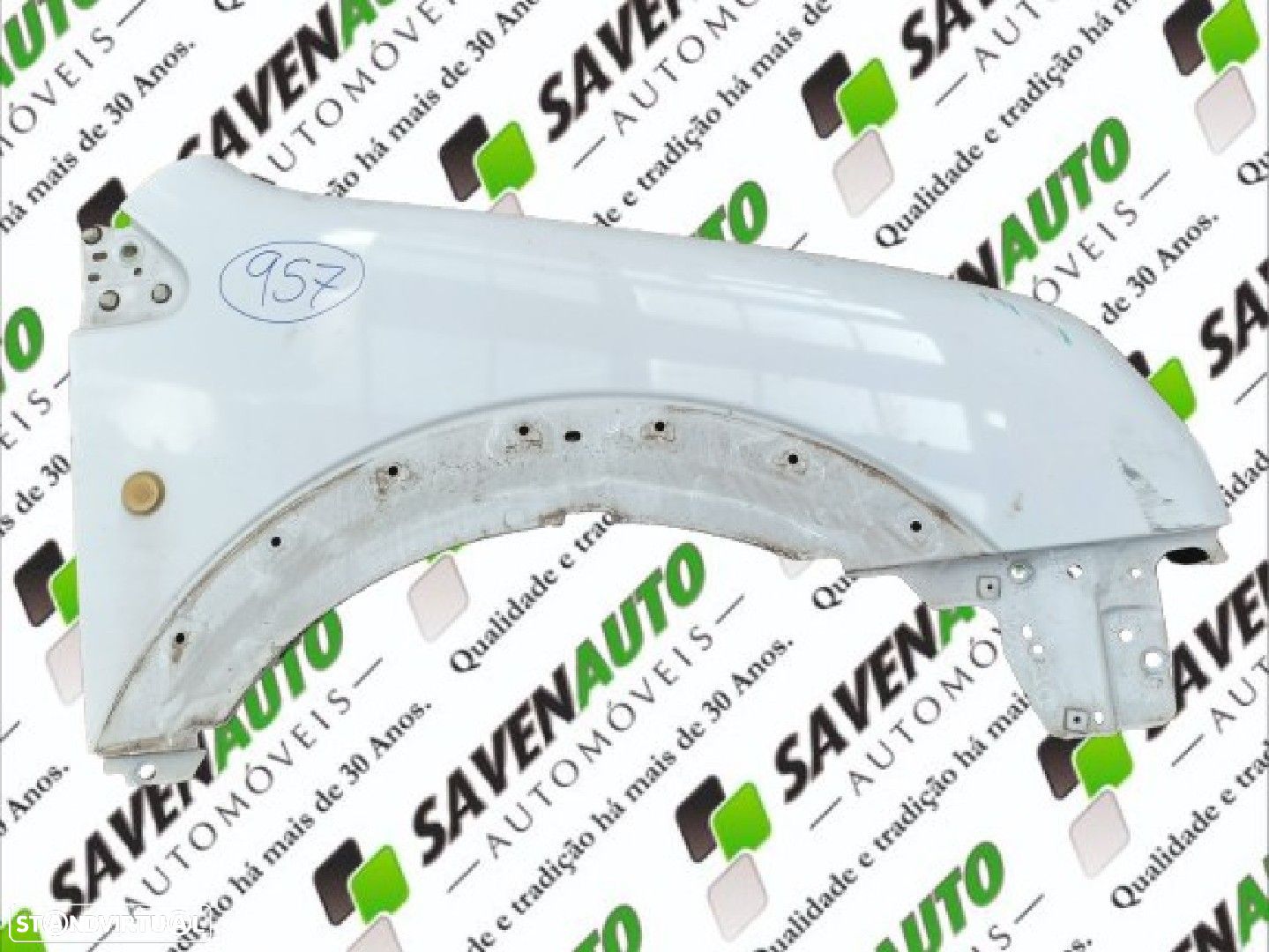 Guarda Lamas Dto Ford Transit Connect (P65_, P70_, P80_) - 1