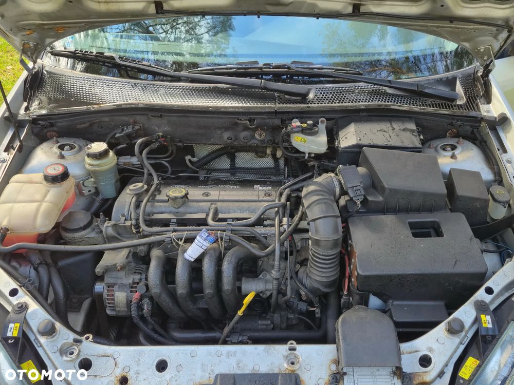 Ford Focus - 4